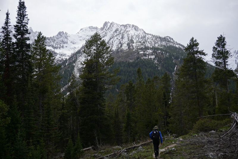 Hiker in front of mountains.