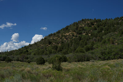 The trail climbs up the hill via a set of switchback to the top where there are beautiful views!