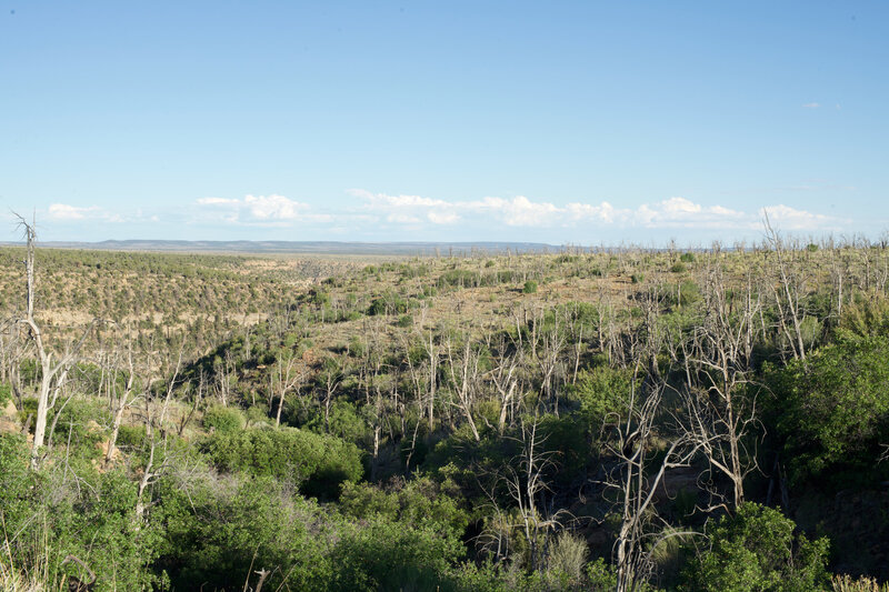 The trail provides a great view of the hillsides in Mesa Verde.