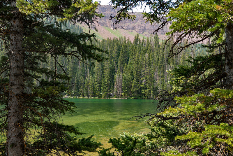 A Peek Into Williams Lake