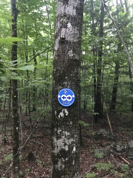 Marker at the start of the Blue Trail loop.