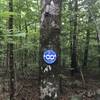 Marker at the start of the Blue Trail loop.