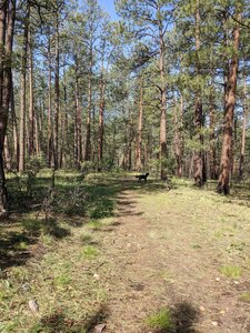 Amole Canyon Trail 10