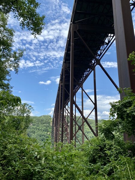 View from under New Bridge on the Bridge Trail