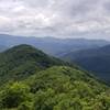 Stunning summer view from the fire tower.