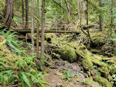 Bridge over dry part of creek.