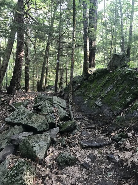 A short rocky and technical stretch of trail just before intersecting the East Foss Farm Blue Trail.