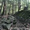 A short rocky and technical stretch of trail just before intersecting the East Foss Farm Blue Trail.