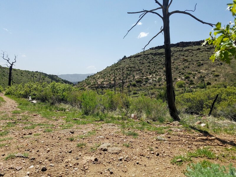 Flat terrain on Unconformity Trail.