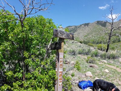 Junction of Unconformity Trail, Island in the Sky and Fire Canyon Trail.
