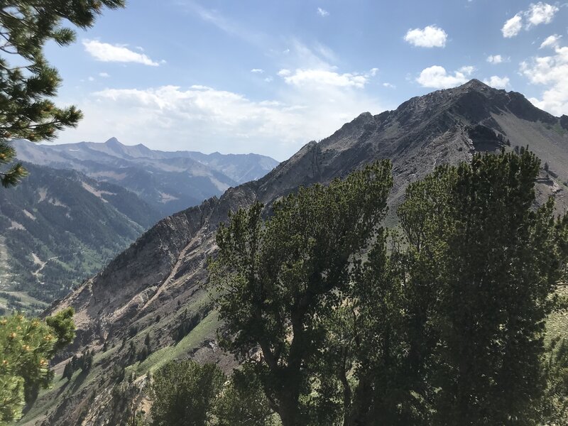 This is a picture of the the south ridge of superior from the east.