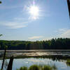 An early summer morning view of Grass Lake.