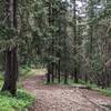 Typical shot of the trail.  Wide with rocks.