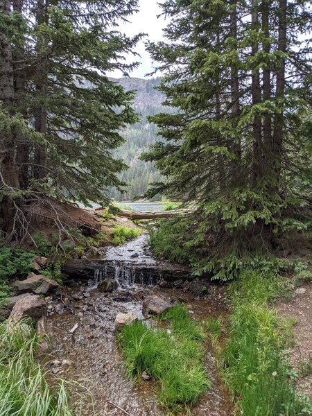 Trails end. The lake is just beyond the trees.