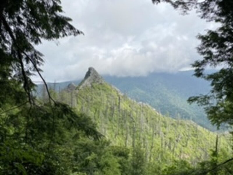 View of chimney tops from the trail.