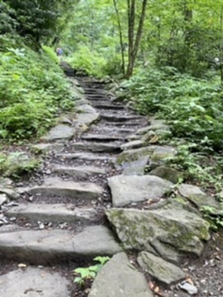 One of the many stairs on chimney tops trail.