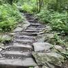 One of the many stairs on chimney tops trail.