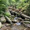 On rainbow falls trail.