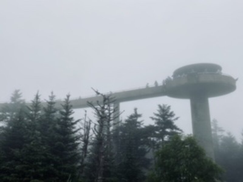 Clingmans dome in the fog.