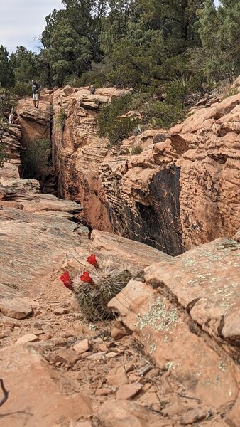 Above the cave; fun scramble to top out.