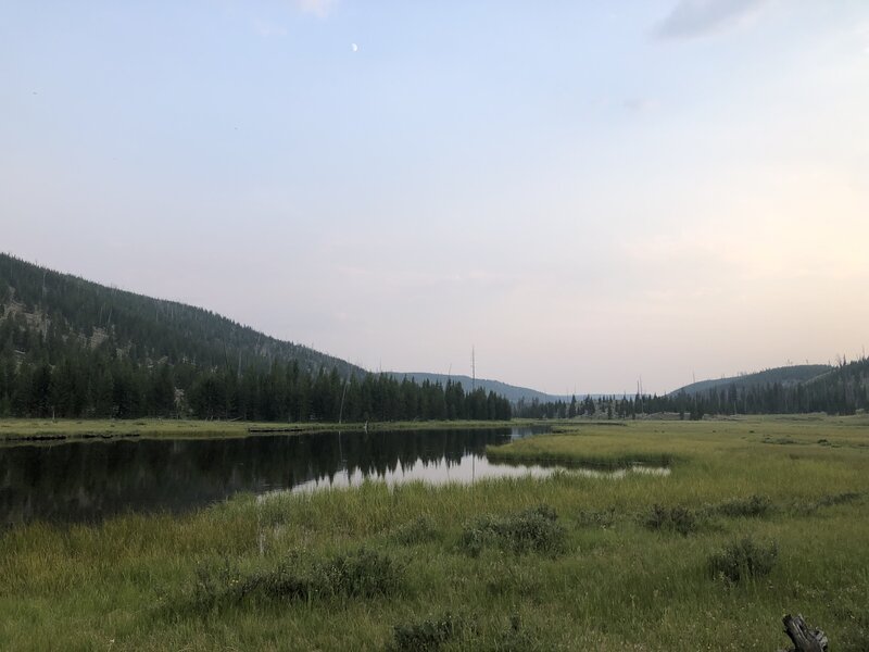 View looking out on Straight Creek at campsite 1C2.