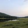 View looking out on Straight Creek at campsite 1C2.