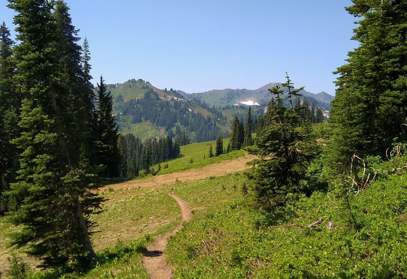 The beautiful meadows and forests covering the high ridges and mountains of Glacier Peak Wilderness. Here, Cady Ridge Trail is approaching a junction with the PCT.