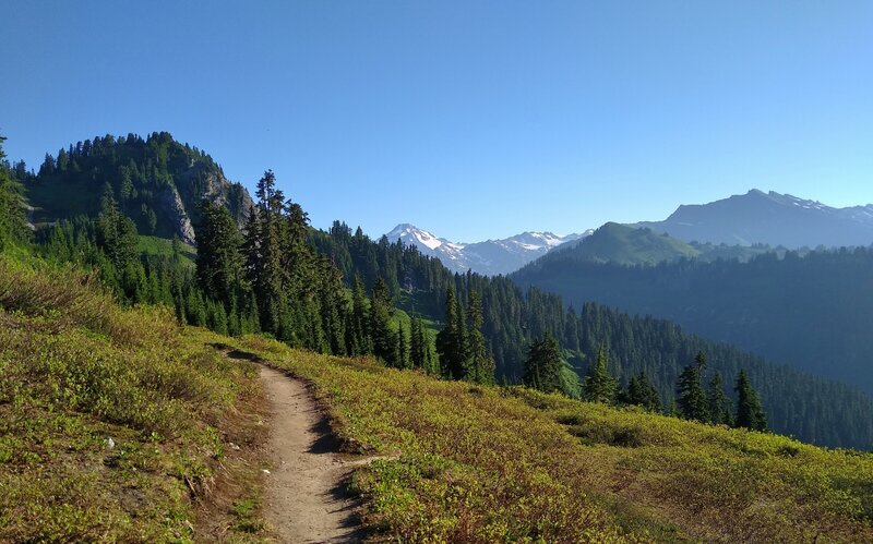 Glacier Peak, 10,541 ft., (center) peeks out ahead to the north in the distance at the PCT/Cady Ridge Trail junction.