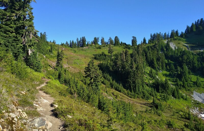 Heading north, the PCT climbs up to Wards Pass ahead, in Glacier Peak Wilderness.