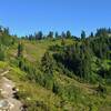 Heading north, the PCT climbs up to Wards Pass ahead, in Glacier Peak Wilderness.