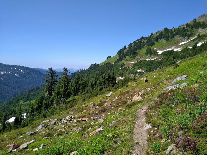 Bald Eagle Trail traverses a high ridge with the North Fork Skykomish River drainage below to the left/southeast.