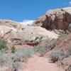 Red sandstone formations tilted at 45 degrees - worth the trip.