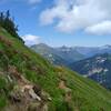 Johnson Mountain Trail traverses very steep high meadows with bursts of colorful wildflowers in mid July.