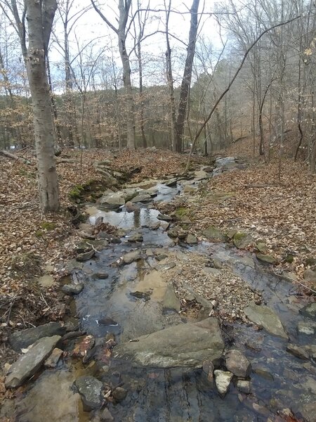 Looking toward Falls Lake