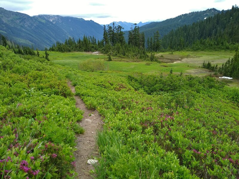 Meander Meadows ahead. Headwaters of the Little Wenatchee River run through this valley.  A lovely trail camp is in the trees (upper center).