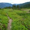 Meander Meadows ahead. Headwaters of the Little Wenatchee River run through this valley.  A lovely trail camp is in the trees (upper center).