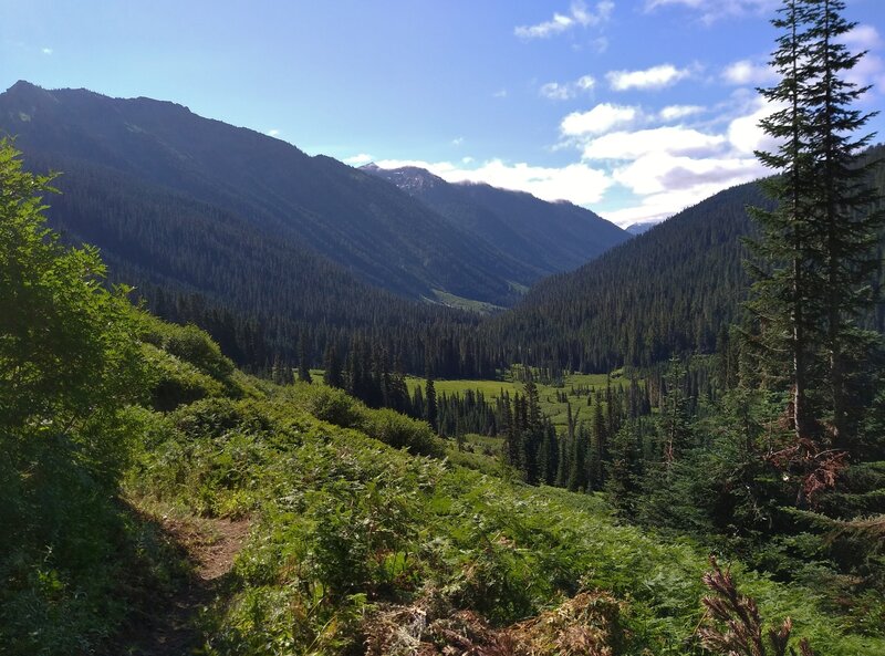 The Little Wenatchee River Valley ahead, is characterized by fir forests and lush meandows. Poet Ridge is on the left/northeast, and the foot of Cady Ridge can be seen to the right/southwest.