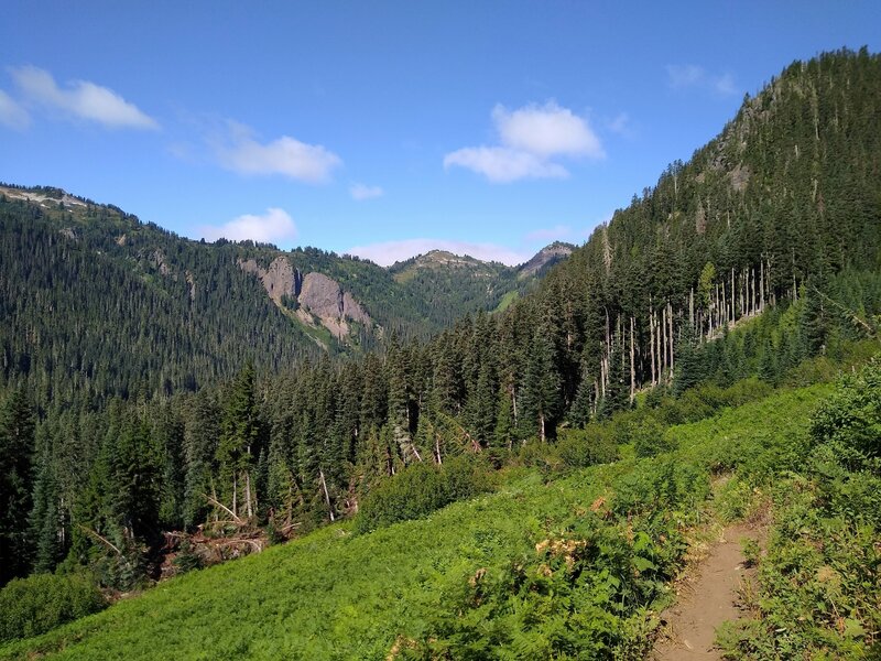 Looking up (west) the Little Wenatchee River valley to the high country as Little Wenatchee River Trail begins climbing.