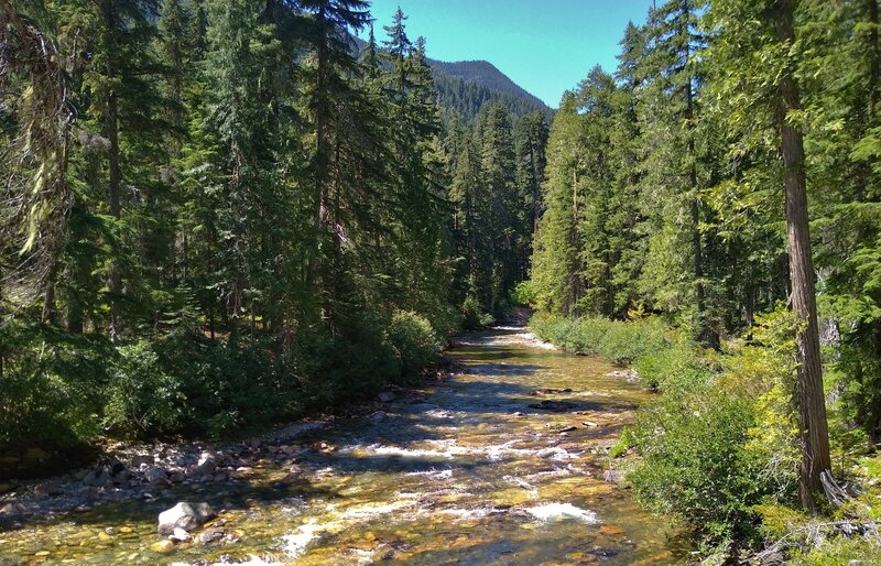 Little Wenatchee River slightly downstream from the gorge.