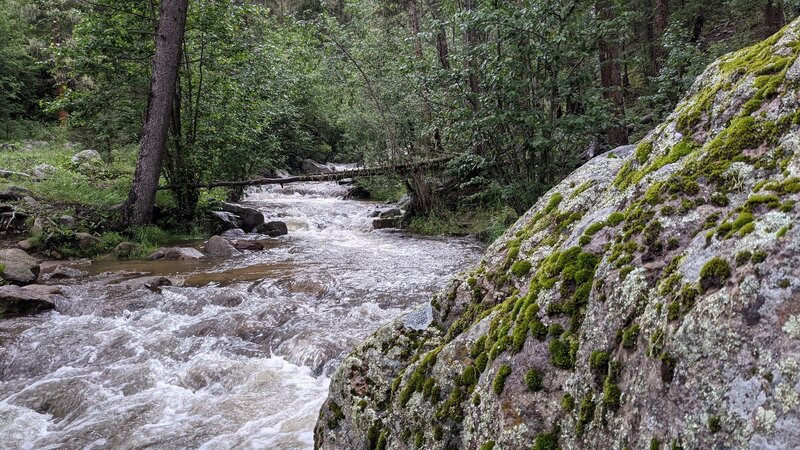 Upstream from log crossing.