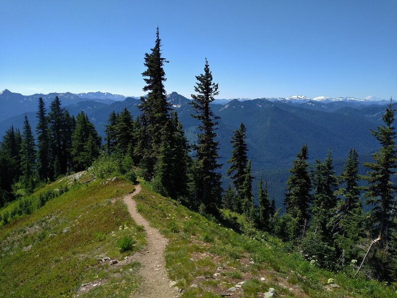 Panorama of mountains to the south, including Mt. Rainier, 14,411 ft., in the far distance (far right) from high on the ridge top of Wenatchee Ridge Trail.