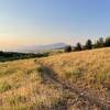 View of the Bridger Range with smoke and evening light.