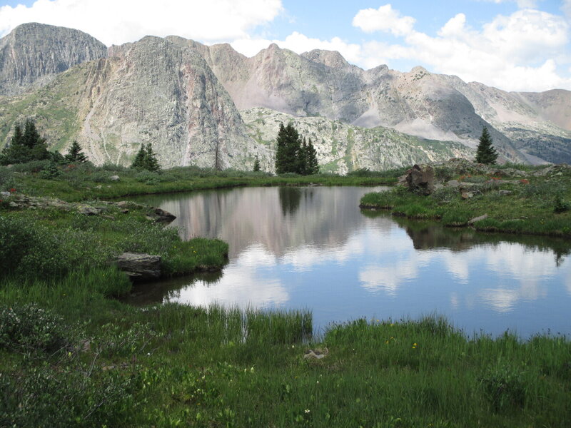 Wonderful pond