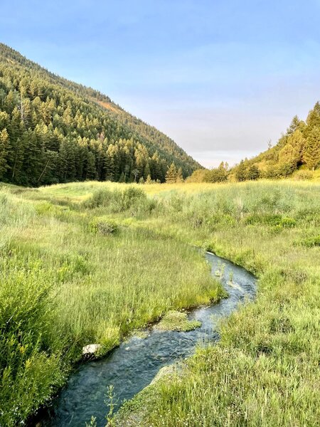 At the end of the trail you cross a bridge over Pritchard creek.