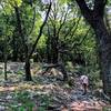 Hiking along a rocky portion.