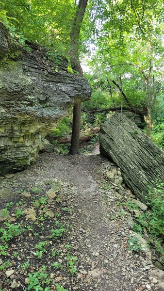 Trail cutting between limestone rocks.