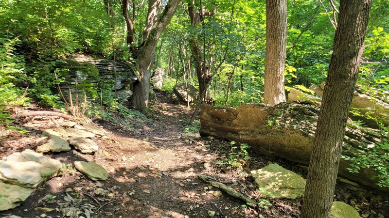 Path through the woods and rocks on Wudchuck Run in Swope Park.