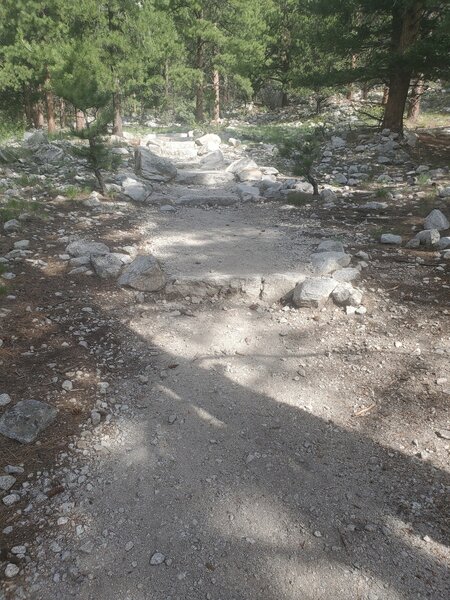 A sample of the "staircase" leading up to the falls viewpoint.