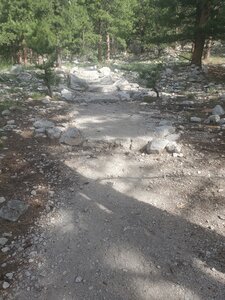 A sample of the "staircase" leading up to the falls viewpoint.