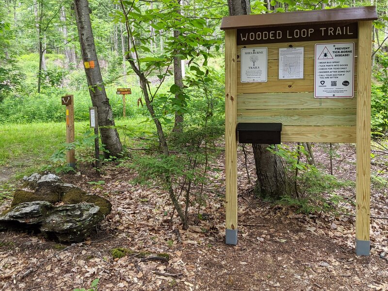 Wooded Loop Trailhead